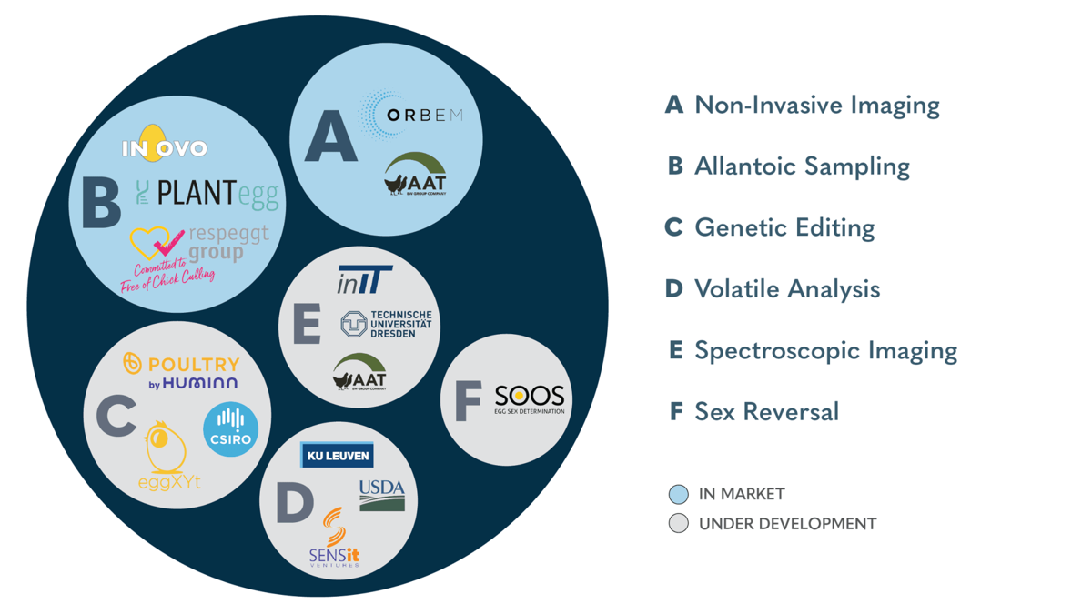 Industry map of in-ovo egg sexing solutions, as of Q1 2023