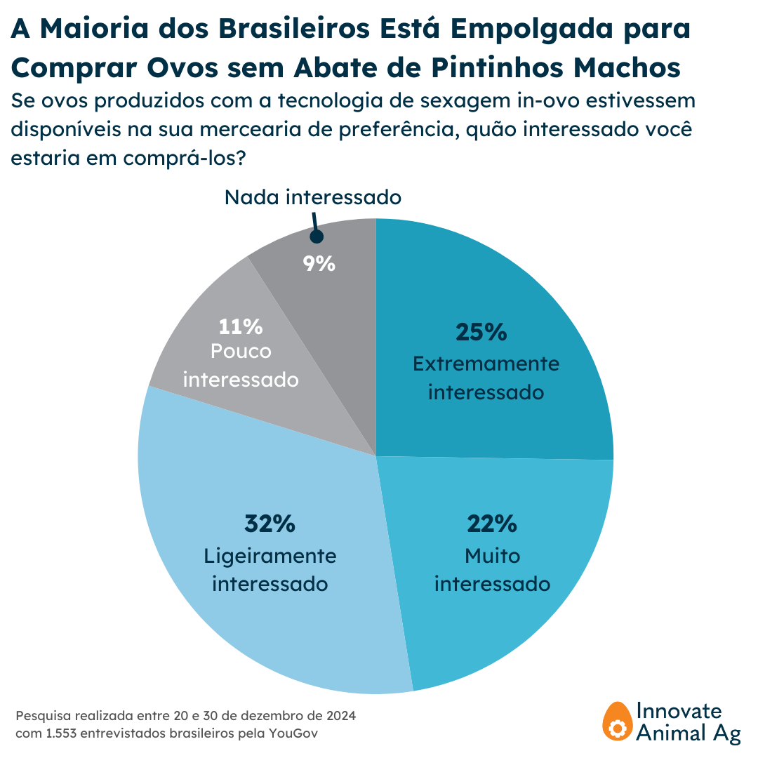Interesse dos brasileiros em ovos sem abate de pintinhos