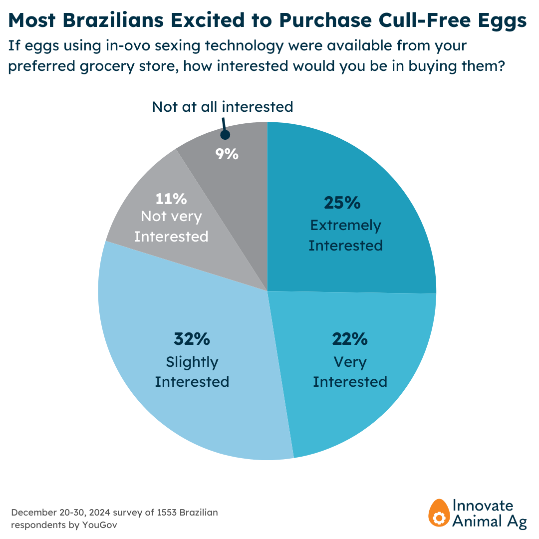 Brazilian interest in cull-free eggs