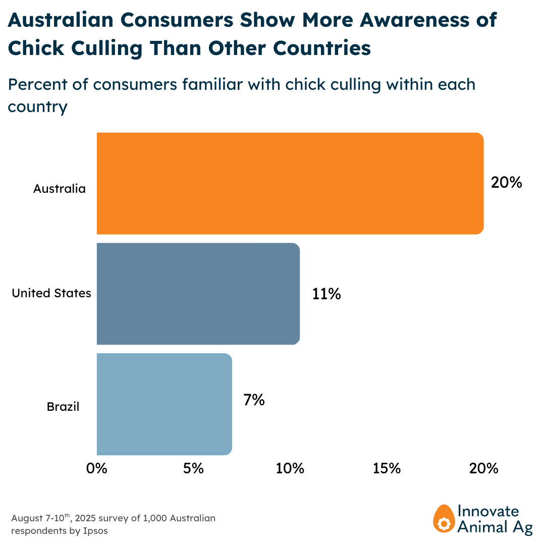Australian Consumers Show More Awareness of Chick Culling