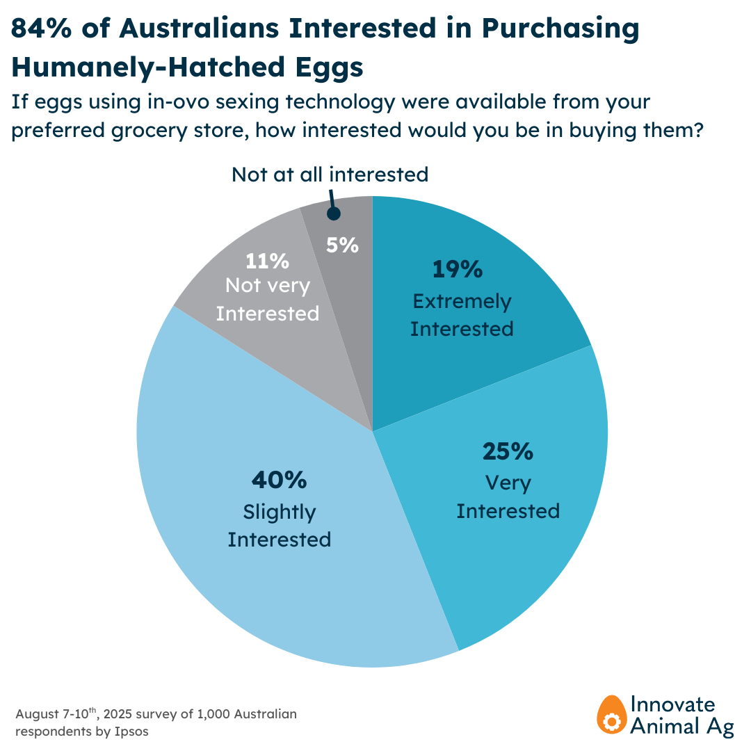 84% of Australians Are Interested in Purchasing Humanely Hatched Eggs