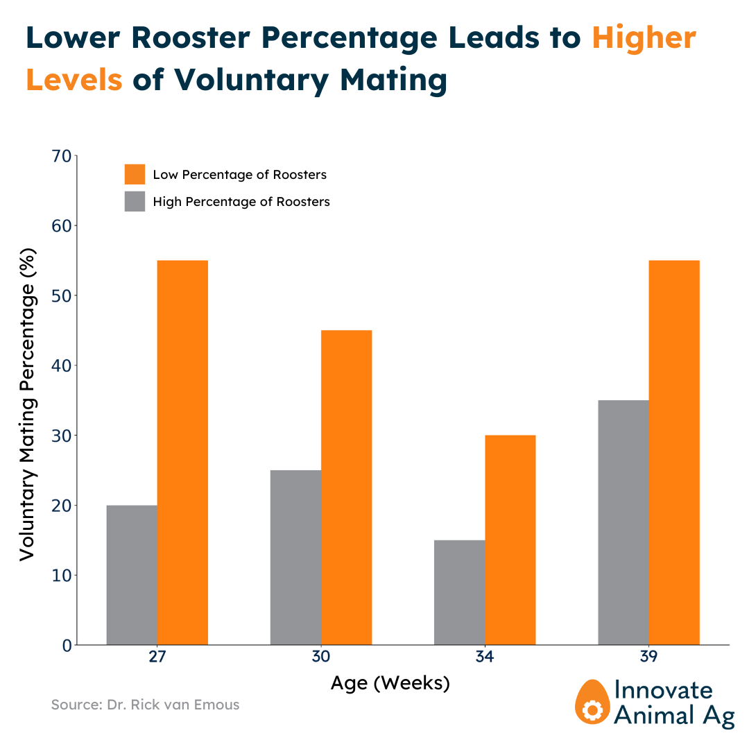 Lower Rooster Percentage Leads to More Voluntary Mating