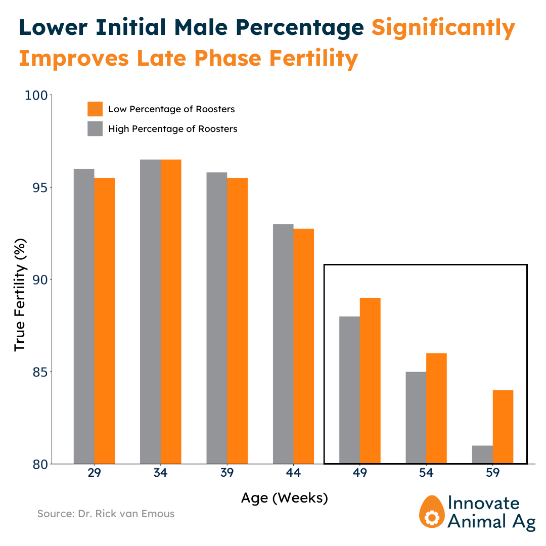 Lower Initial Male Percentage Improves Late-Phase Fertility